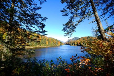 g12/83/550183/3/172035733.DNnovR4t.jpg
