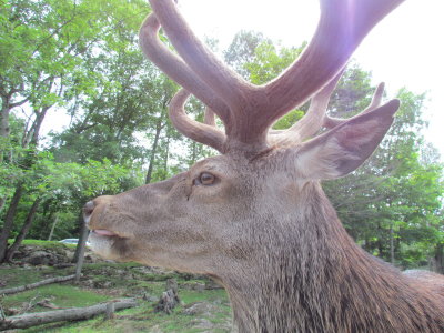g12/83/550183/3/172050238.vOWW52hR.jpg