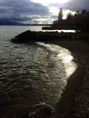 Plage au bord du Lman, Mies