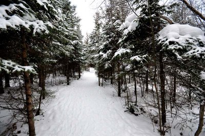 Parc Rgional des Grandes-Coules