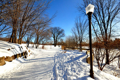 SITE HISTORIQUE DU PARC CARTIER-BRBEUF