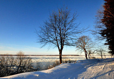 g12/83/550183/3/172377091.ZDMvlYMk.jpg