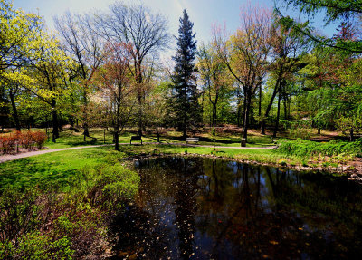 Bois de Coulonge, Ltang 