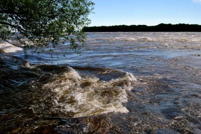  Rapides de Lachine  