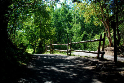 la barrire de bois , Parc du Bic