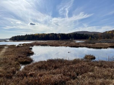 contrejour sur le lac Delage