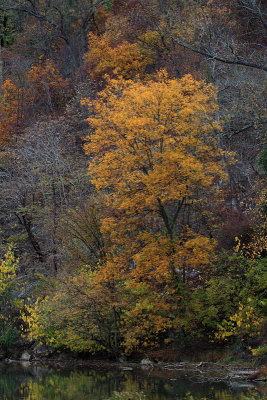Fall colors