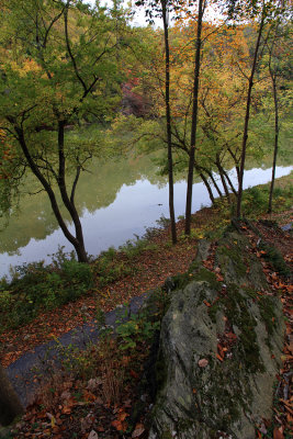 Fall