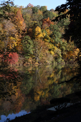 Fall colors