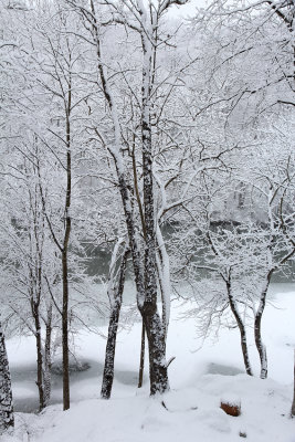 Snowy Sunday Morning