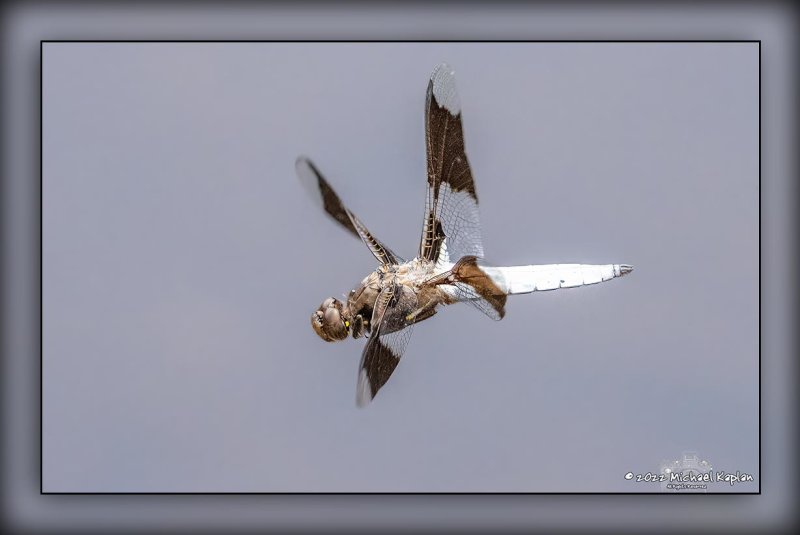 _MTK6826-Edit.jpg