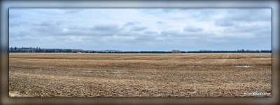 _MKZ2398-Pano.jpg