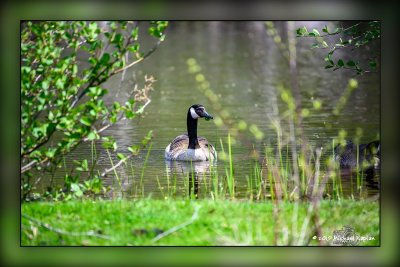 Golf's Steakhouse, Economical Insurance Trailway & Lakeside Park