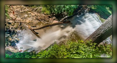 Smokey Hollow Waterfall & Happy Rolph's Animal Farm