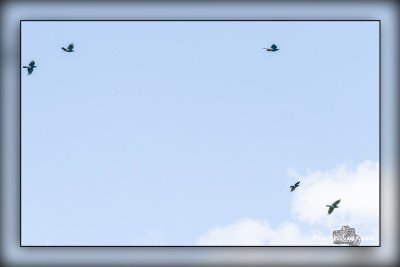 g12/83/65283/3/169683766.CtKYD8eJ.jpg