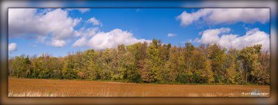 _MKZ3505-Pano.jpg
