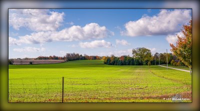 _MKZ3506-Pano.jpg