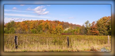 _MKZ3527-Pano.jpg