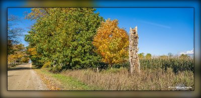 _MKZ3535-Pano.jpg