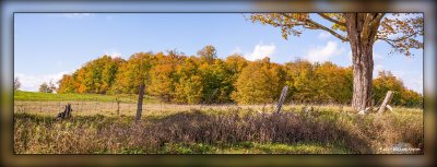 _MKZ3538-Pano.jpg