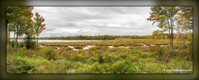 _MKZ3856-Pano.jpg
