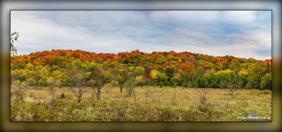 _MKZ3986-Pano.jpg