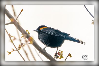 _MTK0701-Edit.jpg