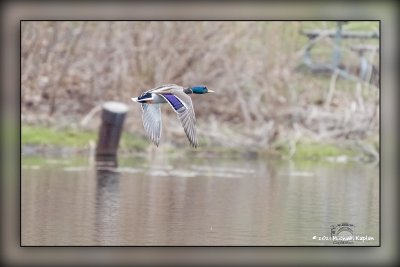 _MTK0851-Edit.jpg