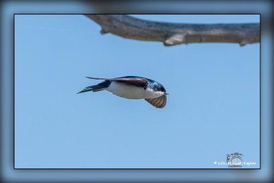 _MTK3642-Edit.jpg