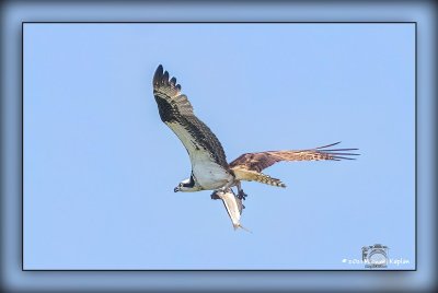 _MTK3788-Edit.jpg