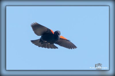 _MTK3846-Edit.jpg