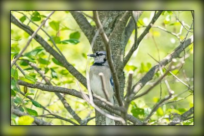 _MTK4175-Edit.jpg