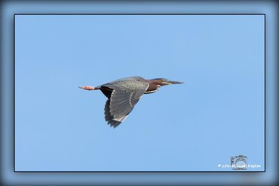 _MTK4514-Edit.jpg