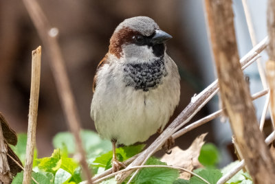Original Edit Crop.jpg