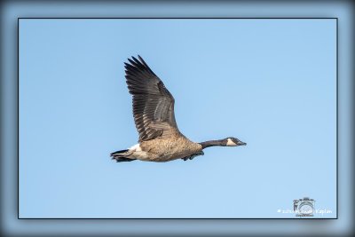 _MTK9262_DxO-Edit-Enhanced.jpg
