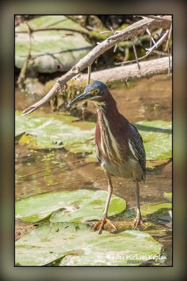 _MTK6280-Edit.jpg