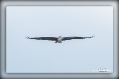 _MTK6570-Edit-Enhanced.jpg
