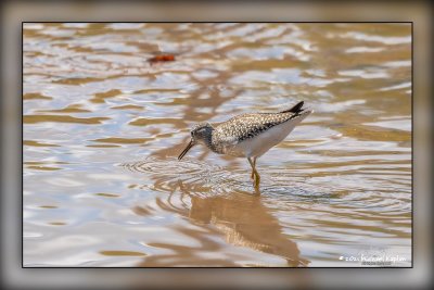 _MTK6742-Edit.jpg