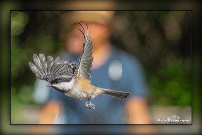 _MTK7007-Edit-Edit-Edit.jpg