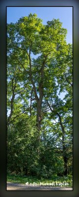 _MTK8353-Pano.jpg