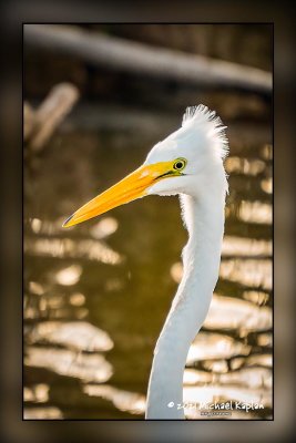 _MTK9415-Edit-Enhanced.jpg