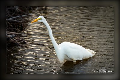 _MTK9685-Edit.jpg