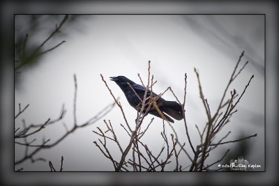 _MTK0075_DxO.jpg