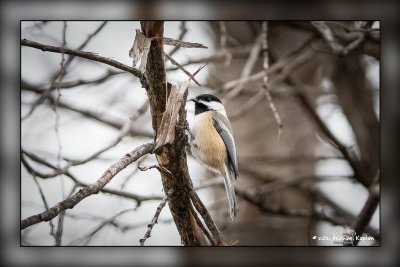 _MTK0080-Edit-Enhanced.jpg