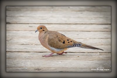 _MTK0126-Edit.jpg