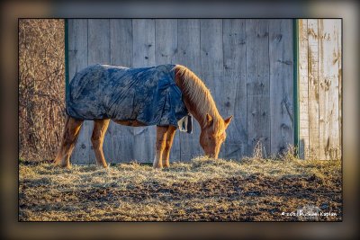 _MTK0191-Edit.jpg