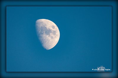 _MTK0201.jpg