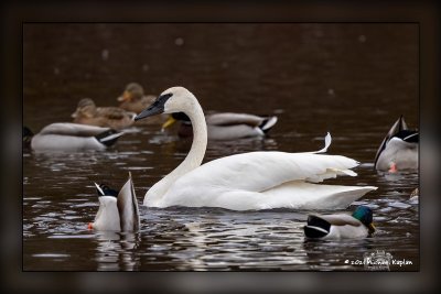 _MTK0227-Edit.jpg