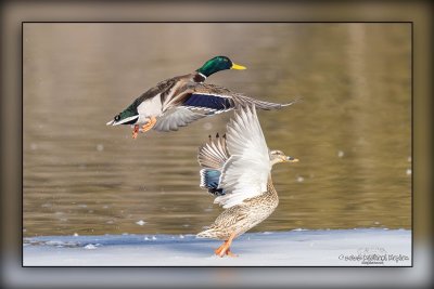 g12/83/65283/3/172401835.51D0zr1i.jpg