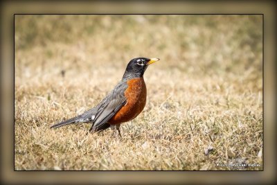 Aylmer & Port Rowan